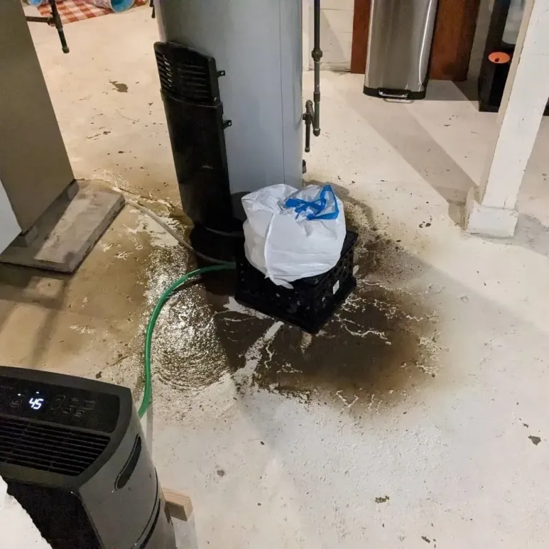Sewage Backup Cleanup Service in New Berlinville, PA